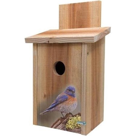 S&K S&K BBHC-7 Decorative Blue Bird on Stump Design on Cedar Blue Bird House BBHC-7